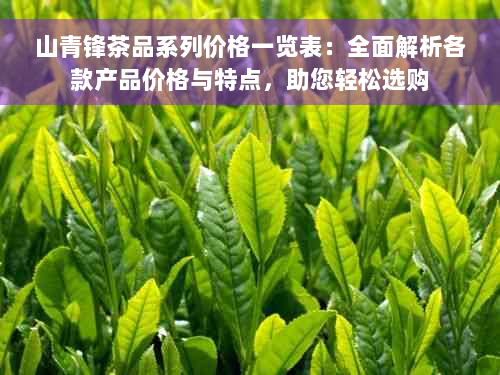 山青锋茶品系列价格一览表：全面解析各款产品价格与特点，助您轻松选购