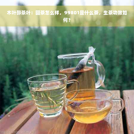 木叶醇茶叶：圆茶怎么样，99801是什么茶，生茶功效如何？