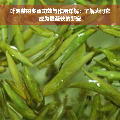 叶泡茶的多重功效与作用详解：了解为何它成为健茶饮的新宠