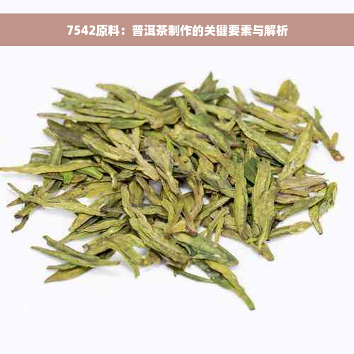 7542原料：普洱茶制作的关键要素与解析