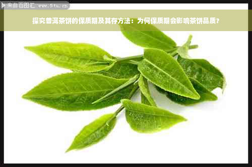 探究普洱茶饼的保质期及其存方法：为何保质期会影响茶饼品质？