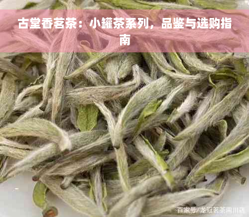 古堂香茗茶：小罐茶系列，品鉴与选购指南