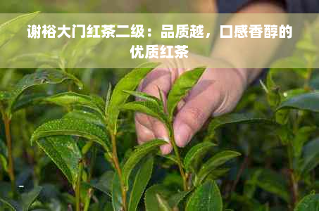 谢裕大门红茶二级：品质越，口感香醇的优质红茶