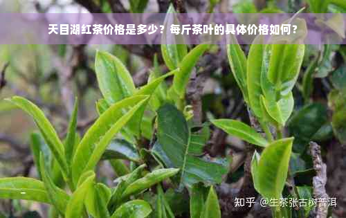 天目湖红茶价格是多少？每斤茶叶的具体价格如何？