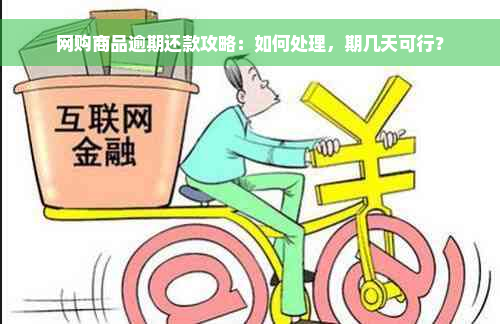 网购商品逾期还款攻略：如何处理，期几天可行？