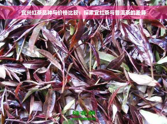 宜兴红茶品种与价格比较：探索宜红茶与普洱茶的差异