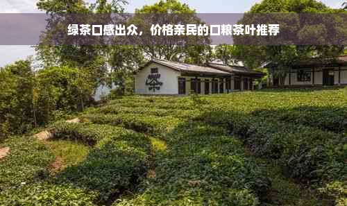 绿茶口感出众，价格亲民的口粮茶叶推荐