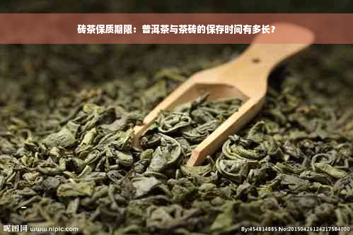 砖茶保质期限：普洱茶与茶砖的保存时间有多长？