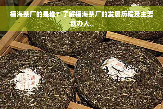 福海茶厂的是谁？了解福海茶厂的发展历程及主要创办人。