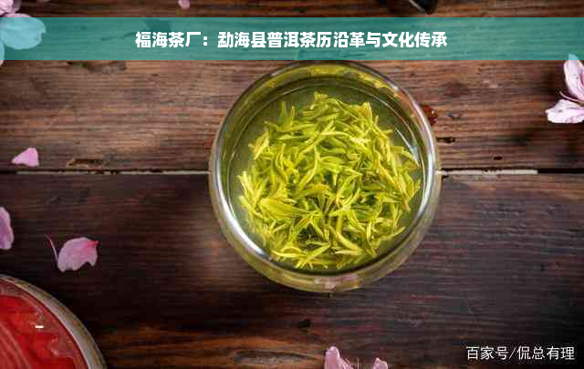 福海茶厂：勐海县普洱茶历沿革与文化传承