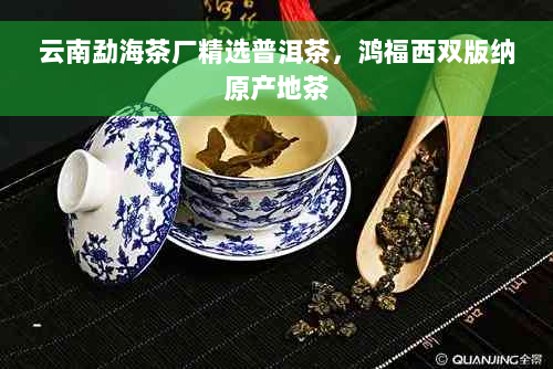 云南勐海茶厂精选普洱茶，鸿福西双版纳原产地茶