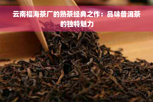 云南福海茶厂的熟茶经典之作：品味普洱茶的独特魅力