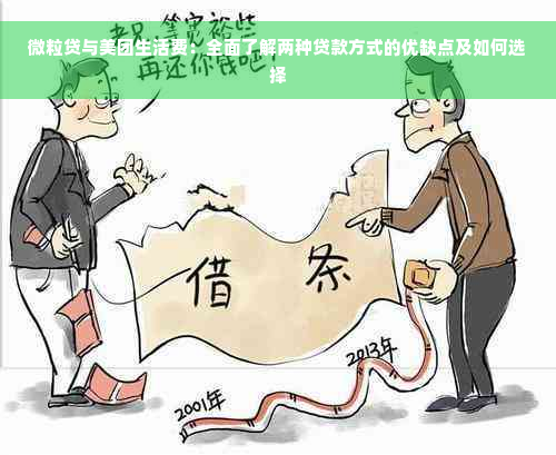 微粒贷与美团生活费：全面了解两种贷款方式的优缺点及如何选择