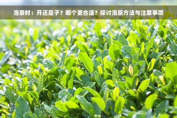 泡茶时：开还是子？哪个更合适？探讨泡茶方法与注意事项