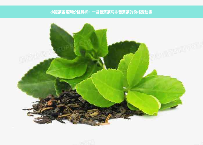 小罐茶各系列价格解析：一览普洱茶与非普洱茶的价格变动表