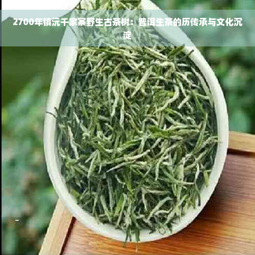 2700年镇沅千家寨野生古茶树：普洱生茶的历传承与文化沉淀