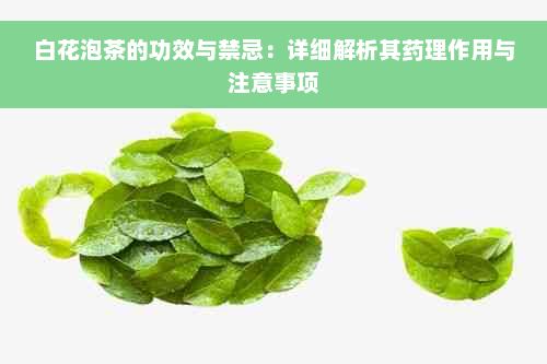 白花泡茶的功效与禁忌：详细解析其药理作用与注意事项