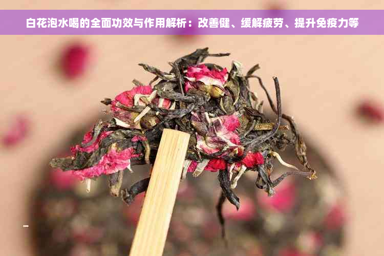 白花泡水喝的全面功效与作用解析：改善健、缓解疲劳、提升免疫力等