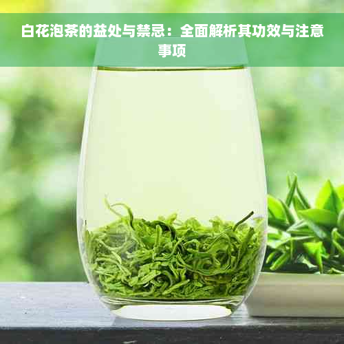 白花泡茶的益处与禁忌：全面解析其功效与注意事项