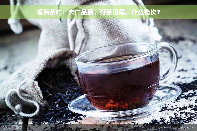 福海茶厂：大厂品质，好茶保障，什么档次？