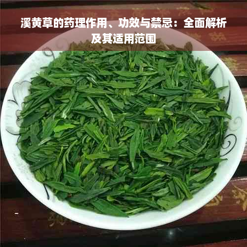 溪黄草的药理作用、功效与禁忌：全面解析及其适用范围