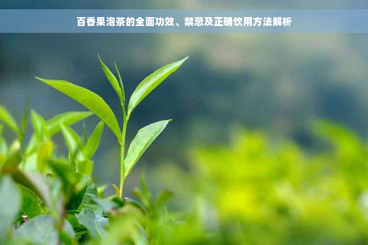 百香果泡茶的全面功效、禁忌及正确饮用方法解析