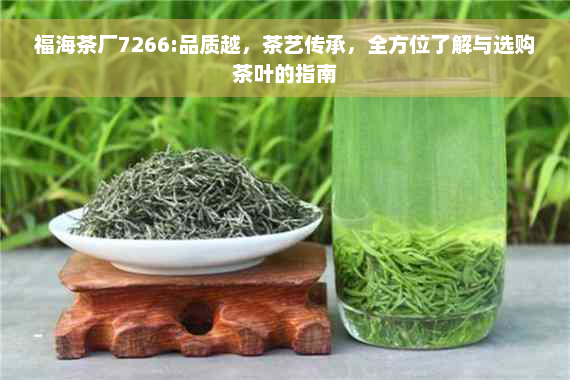 福海茶厂7266:品质越，茶艺传承，全方位了解与选购茶叶的指南