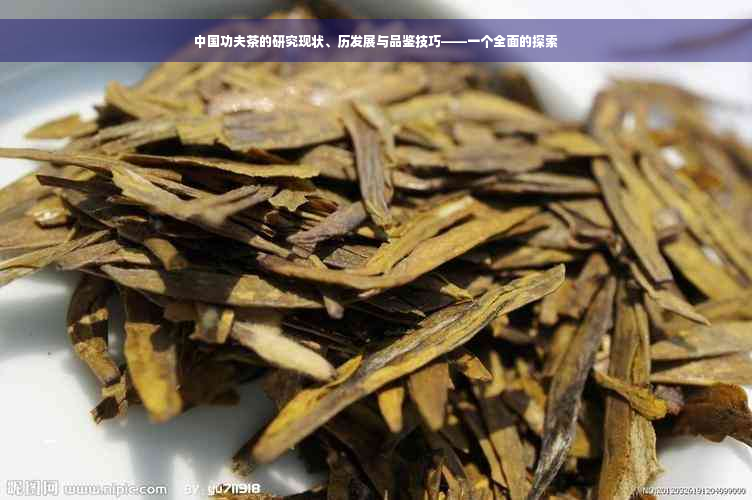 中国功夫茶的研究现状、历发展与品鉴技巧——一个全面的探索