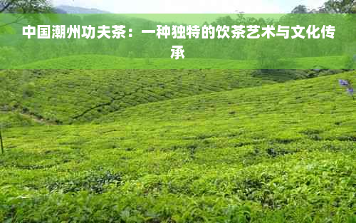 中国潮州功夫茶：一种独特的饮茶艺术与文化传承