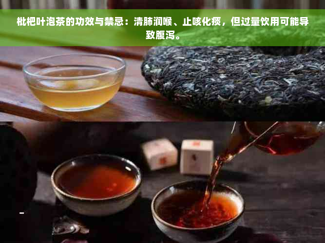 枇杷叶泡茶的功效与禁忌：清肺润喉、止咳化痰，但过量饮用可能导致腹泻。