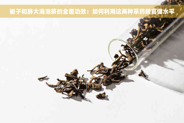 栀子和胖大海泡茶的全面功效：如何利用这两种草药提高健水平