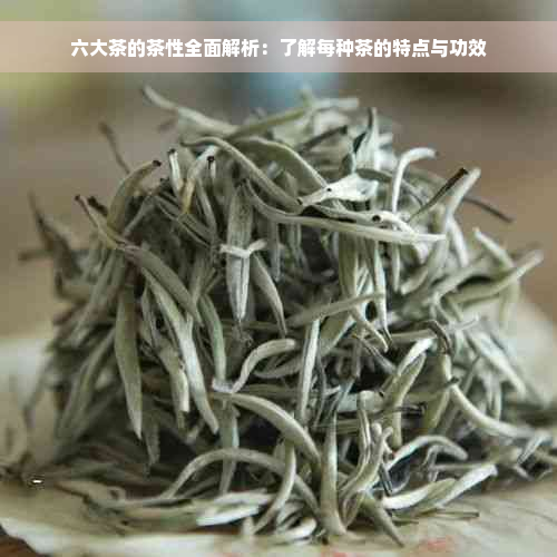 六大茶的茶性全面解析：了解每种茶的特点与功效