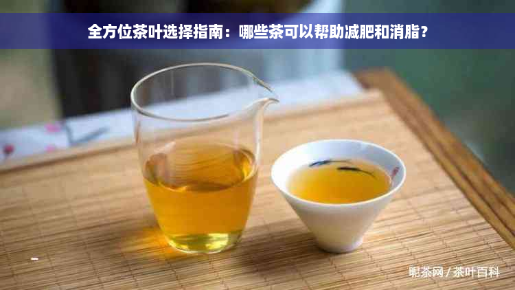 全方位茶叶选择指南：哪些茶可以帮助减肥和消脂？