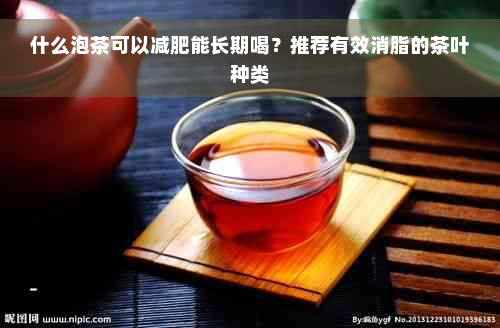 什么泡茶可以减肥能长期喝？推荐有效消脂的茶叶种类