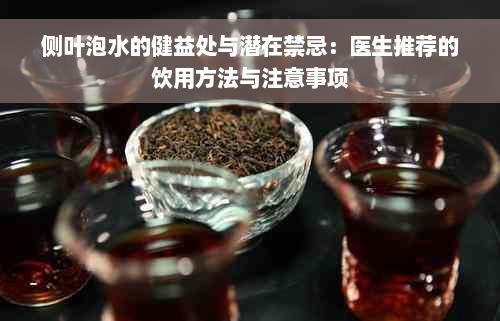 侧叶泡水的健益处与潜在禁忌：医生推荐的饮用方法与注意事项