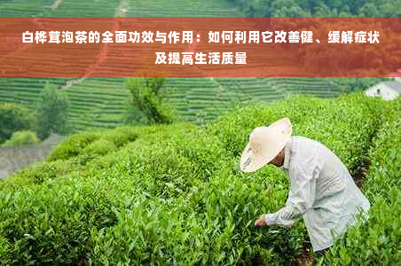 白桦茸泡茶的全面功效与作用：如何利用它改善健、缓解症状及提高生活质量