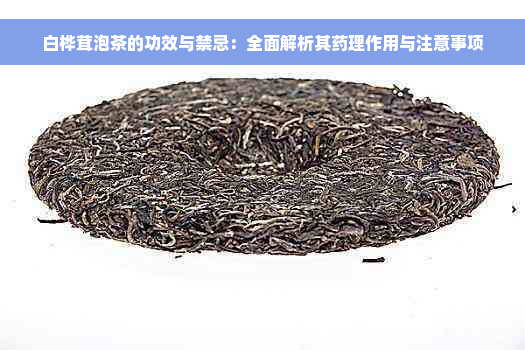 白桦茸泡茶的功效与禁忌：全面解析其药理作用与注意事项