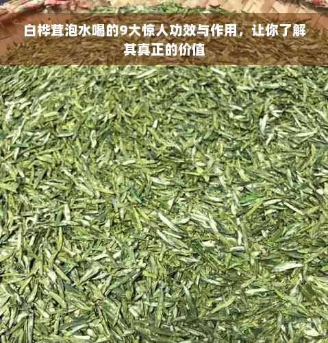 白桦茸泡水喝的9大惊人功效与作用，让你了解其真正的价值