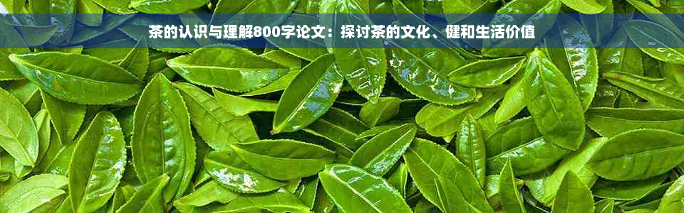 茶的认识与理解800字论文：探讨茶的文化、健和生活价值