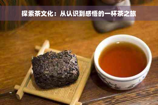 探索茶文化：从认识到感悟的一杯茶之旅