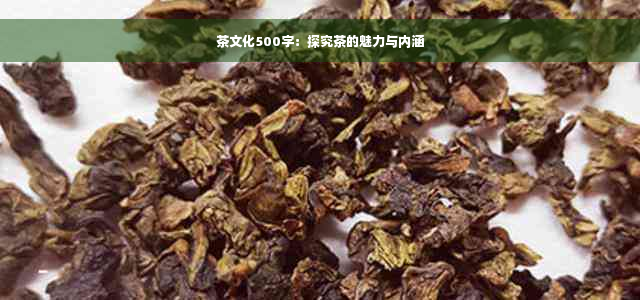 茶文化500字：探究茶的魅力与内涵