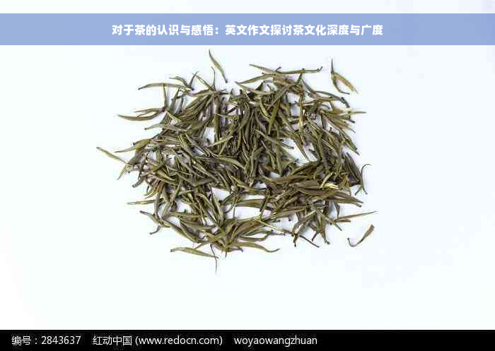 对于茶的认识与感悟：英文作文探讨茶文化深度与广度