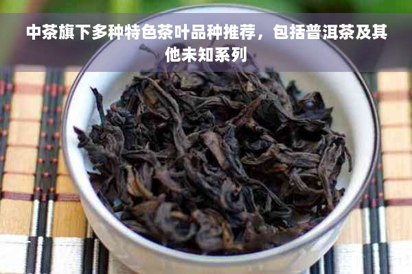 中茶旗下多种特色茶叶品种推荐，包括普洱茶及其他未知系列