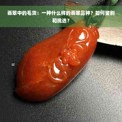 翡翠中的毛货：一种什么样的翡翠品种？如何鉴别和挑选？