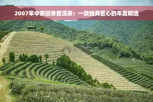 2007年中茶班章普洱茶：一款独具匠心的年度精选