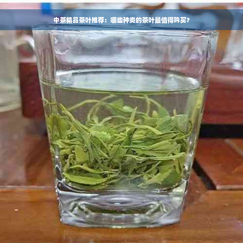 中茶精品茶叶推荐：哪些种类的茶叶最值得购买？