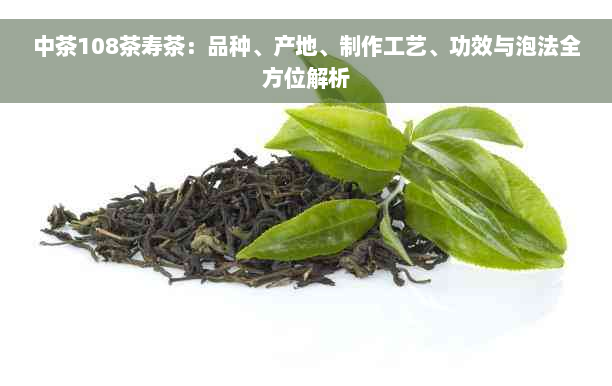 中茶108茶寿茶：品种、产地、制作工艺、功效与泡法全方位解析