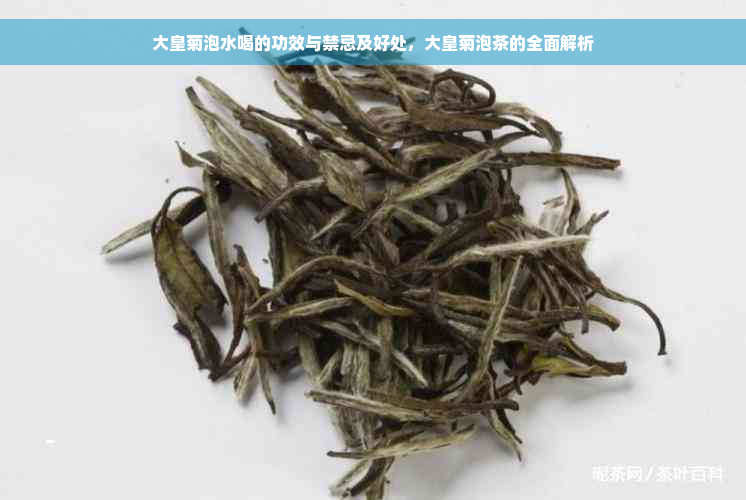 大皇菊泡水喝的功效与禁忌及好处，大皇菊泡茶的全面解析