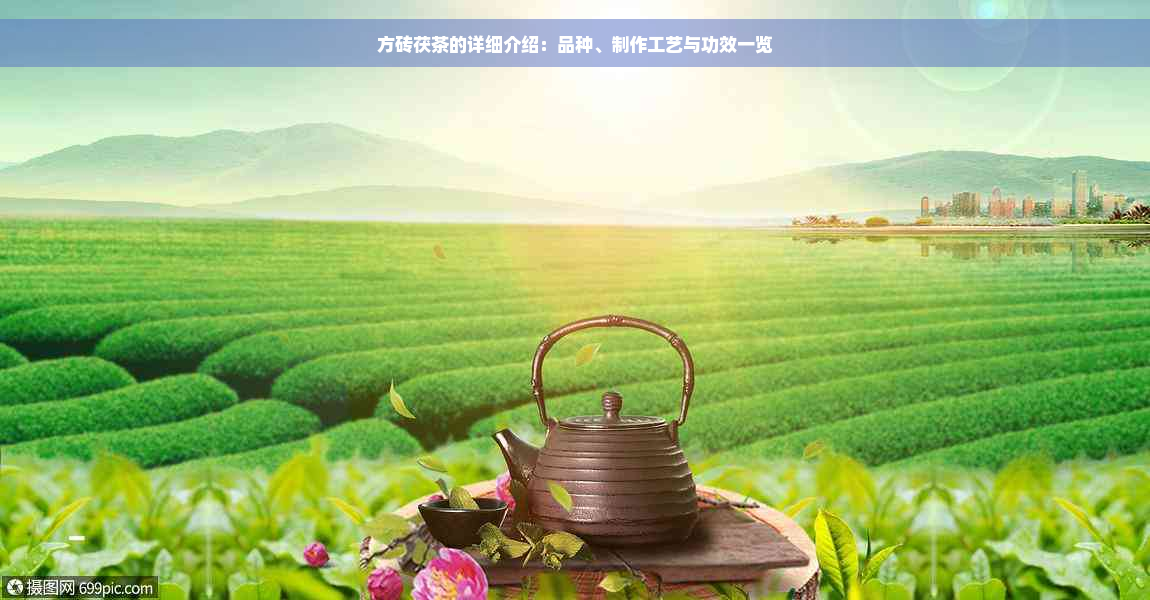 方砖茯茶的详细介绍：品种、制作工艺与功效一览