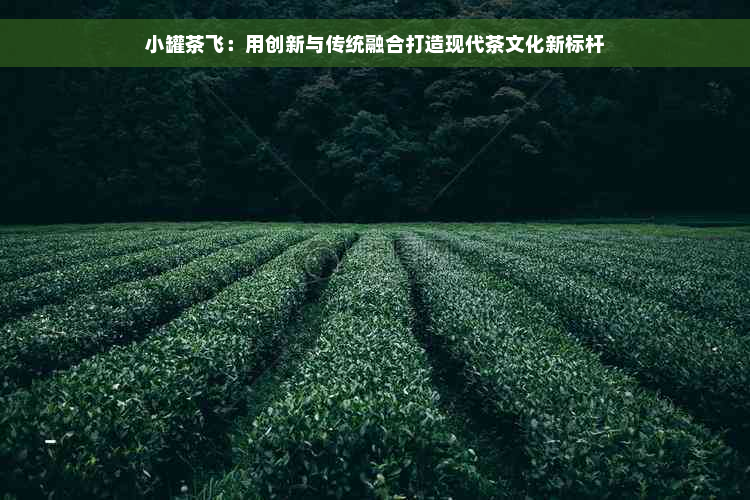 小罐茶飞：用创新与传统融合打造现代茶文化新标杆